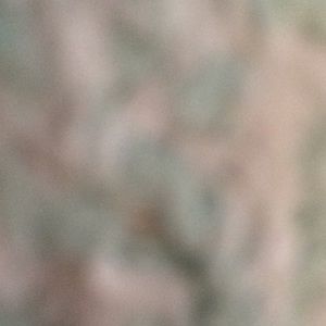 Meet your Posher, Gretchen